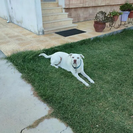 Apartman Asterios House *