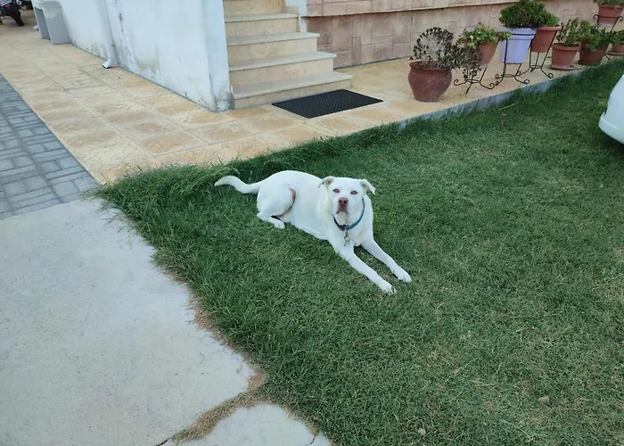 아파트 Asterios House *